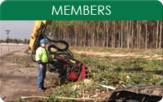 Members